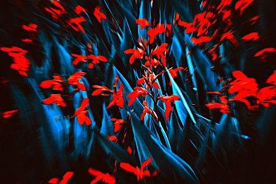 《漫威蜘蛛侠2》TGA 2023颗粒无收 引起粉丝强烈不满