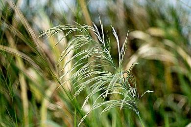 《女神异闻录3：Reload》扩展通行证公布 追加后日谈“埃癸斯篇”剧情